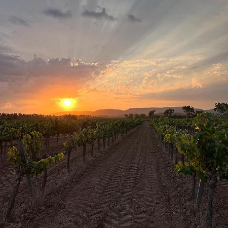 Vila Cal Muntanyes Font-Rubi Exteriér fotografie