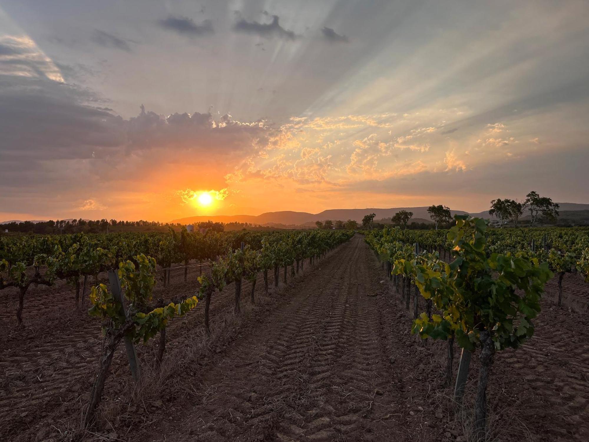 Vila Cal Muntanyes Font-Rubi Exteriér fotografie